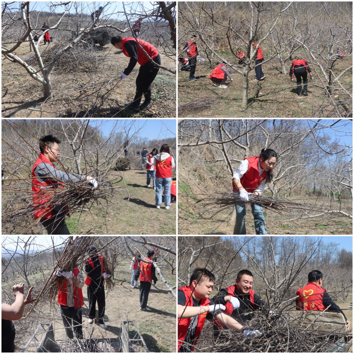 1711705242226058.jpg IMG_2102_副本.jpg