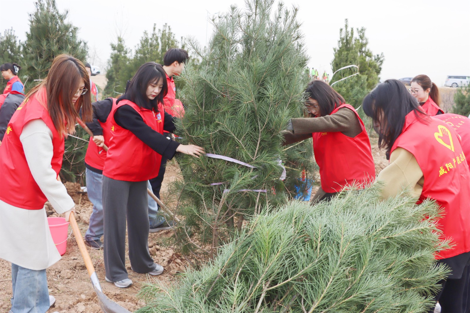 1742283919627428.jpg IMG_8593_副本.jpg