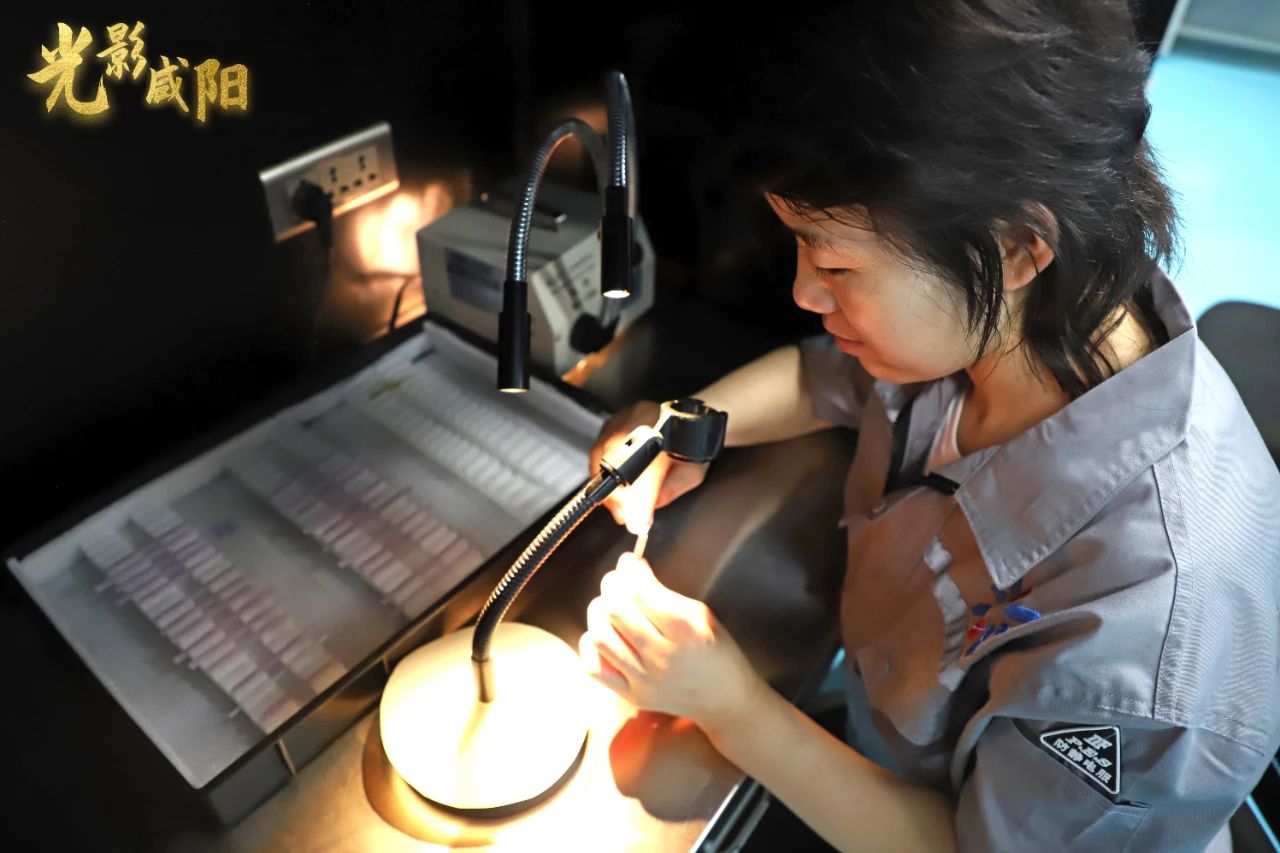 1755488748519621.jpg 微信图片_2025-08-18_105948_318.jpg