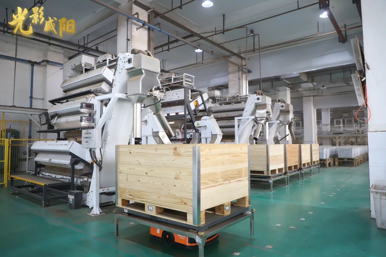 1755488925659338.jpg 微信图片_2025-08-18_110019_323.jpg